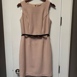 The Limited Dress